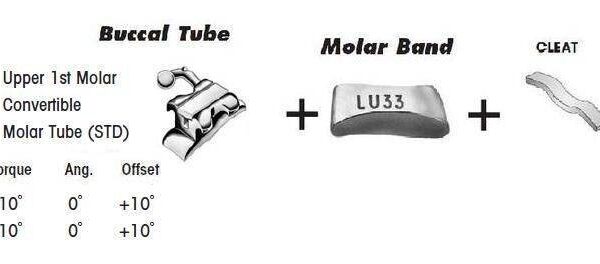 1st Molar Bands Assembly with Upper STD BuccalTube and Cleat
