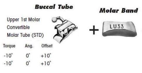 1st-Molar-Bands-Assembly-with-Upper-STD-Convertible-Tube.jpg 1st Molar Bands Assembly with Upper STD Convertible Tube