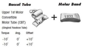 1st Molar Bands Assembly with Upper CBT Buccal Tube