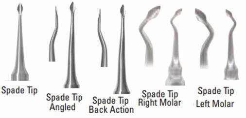 Bone Preservation Elevator Kit - A. Titan