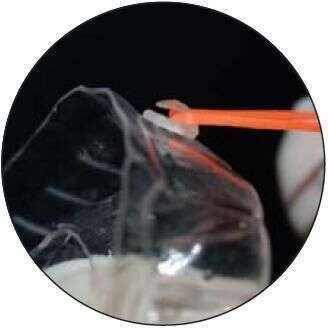 Composite Aligner Button - Dentsply Sirona
