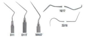 Endodontic - DA