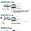 Endomax-Plus-Head.jpg Endomax Plus Cordless Endodontic Handpiece - Dentamerica