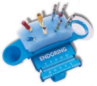 Endoring-II-organizer-Gelwells-Jordco.jpg Endoring II organizer Gelwells - Jordco