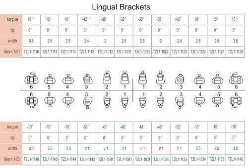 Lingual-Brackets.jpg Lingual Brackets
