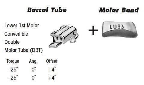 1st Molar Bands Assembly with Lower DBT Buccal Tube