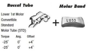 1st Molar Bands Assembly with Lower STD Buccal Tube