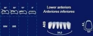 Lower Anterior Acrylic Resin Teeth #266 - NewTek