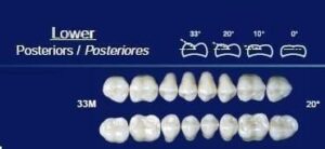 Lower Posterior Acrylic Resin Teeth #34M - NewTek