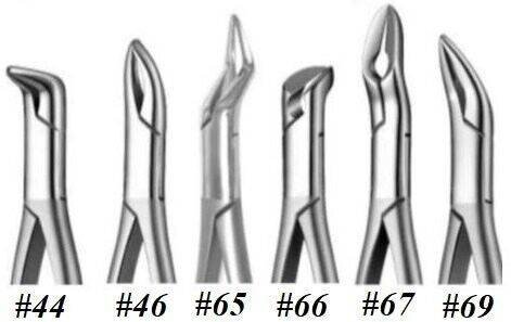English Pattern Root Forceps