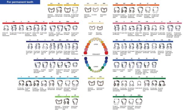 Rubber-Dam-Clamp-Chart.jpg Rubber Dam Clamps