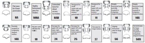 Rubber Dam Clamps - General Molars