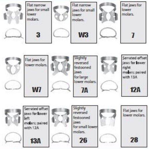 Rubber-Dam-Clamps-Lowe-Molars.jpg Rubber Dam Clamps - Lower Molars