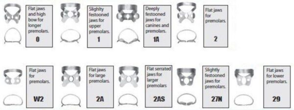 Rubber Dam Clamps - Pre-Molars