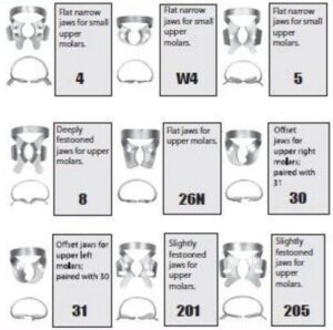 Rubber-Dam-Clamps-Upper-Molars.jpg Rubber Dam Clamps - Upper Molars