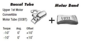 1st Molar Bands Assembly with Upper OCBT Buccal Tube