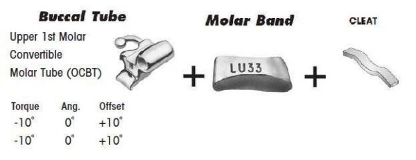1st Molar Bands Assembly with Upper OCBT Buccal Tube and Cleat