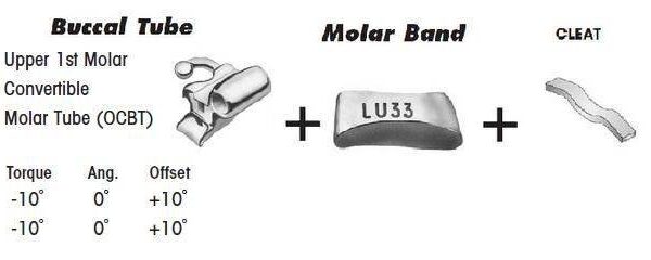 1st Molar Bands Assembly with Upper OCBT Buccal Tube and Cleat