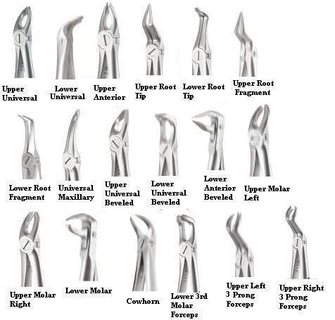 X-Trac Forceps - A. Titan