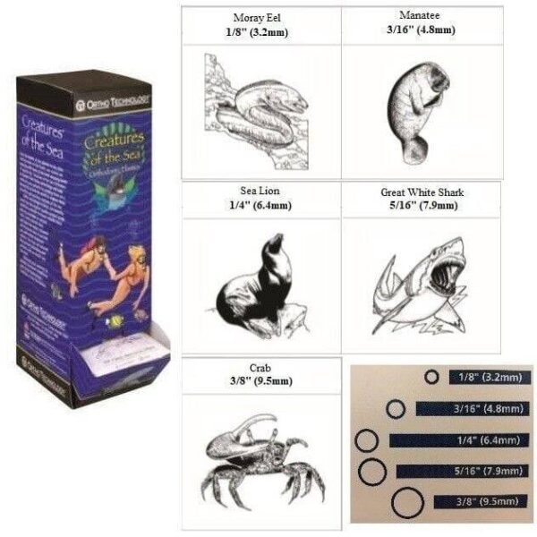 Creatures Of The Sea Elastics - Heavy Natural Latex