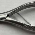 Extracting Pedo Forceps