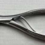 Extracting Pedo Forceps