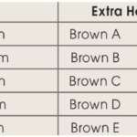 Intra-Oral Non-Latex Elastic Bands Extra Heavy 6oz