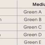 Intra-Oral Latex Elastics Bands Medium 3.5oz