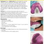 Hydrogum 5 Alginate - Zhermack