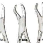 Miltex Ceram-A-Grip Upper Molars Forceps - Integra Miltex