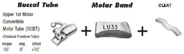 1st Molar Bands Assembly with Upper OCBT Buccal Tube and Cleat