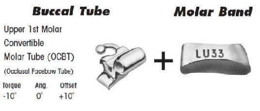 1st Molar Bands Assembly with Upper OCBT Buccal Tube