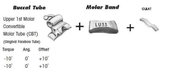 1st Molar Bands Assembly with Upper CBT Buccal Tube and Cleat