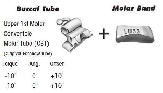 1st Molar Bands Assembly with Upper CBT Buccal Tube