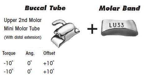 2nd Molar Band Assembly with Upper Single Buccal Tube
