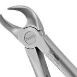 Atraumair 23 Cowhorn Forceps Lower Molar
