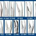 Bone Ronguers - Miltex