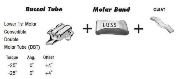 1st Molar Bands Assembly with Lower DBT Buccal Tube and Cleat