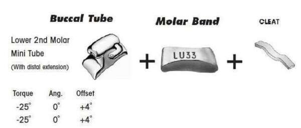 2nd Molar Band Assembly with Lower Single Buccal Tube and Cleat