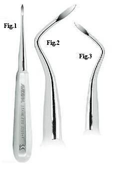 Root-Tip Picks - ASA Italy