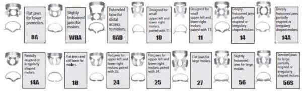 Rubber Dam Clamps - General Molars