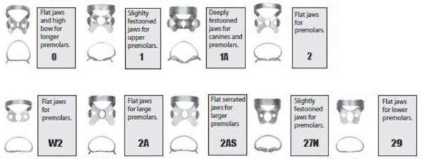 Rubber Dam Clamps - Pre-Molars