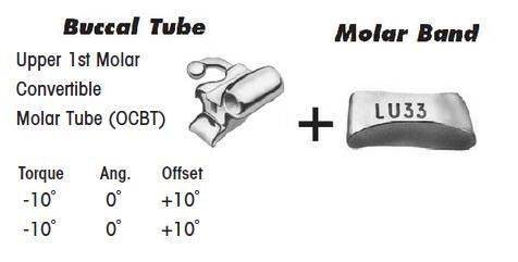 1st Molar Bands Assembly with Upper OCBT Buccal Tube