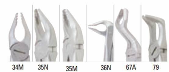 Miltex Xcision Roba Forceps - Integra Miltex