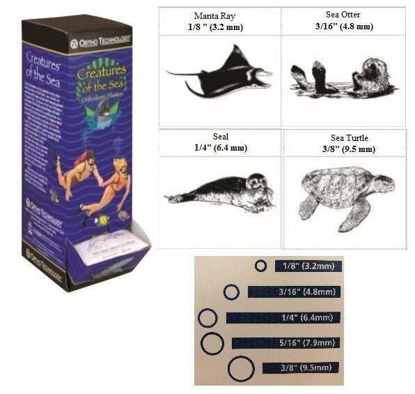 Creatures Of The Sea Elastics - Medium Natural Latex