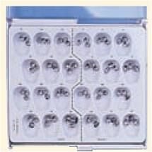 Stainless Steel Primary Molar Crowns - DA